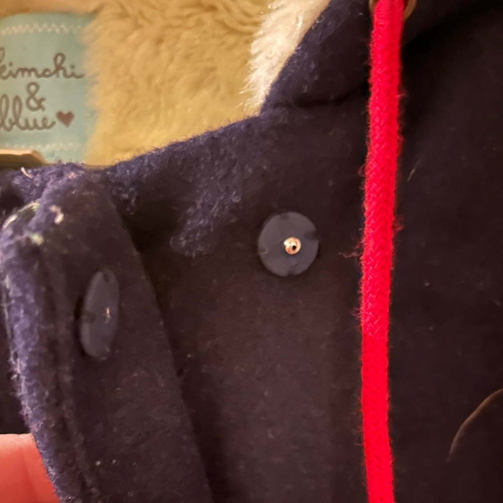 Kimchi & Blue Navy Pea Coat with Floral Embroidery - Picture 10 of 11